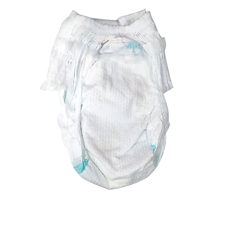 Disposable Baby Training Pants